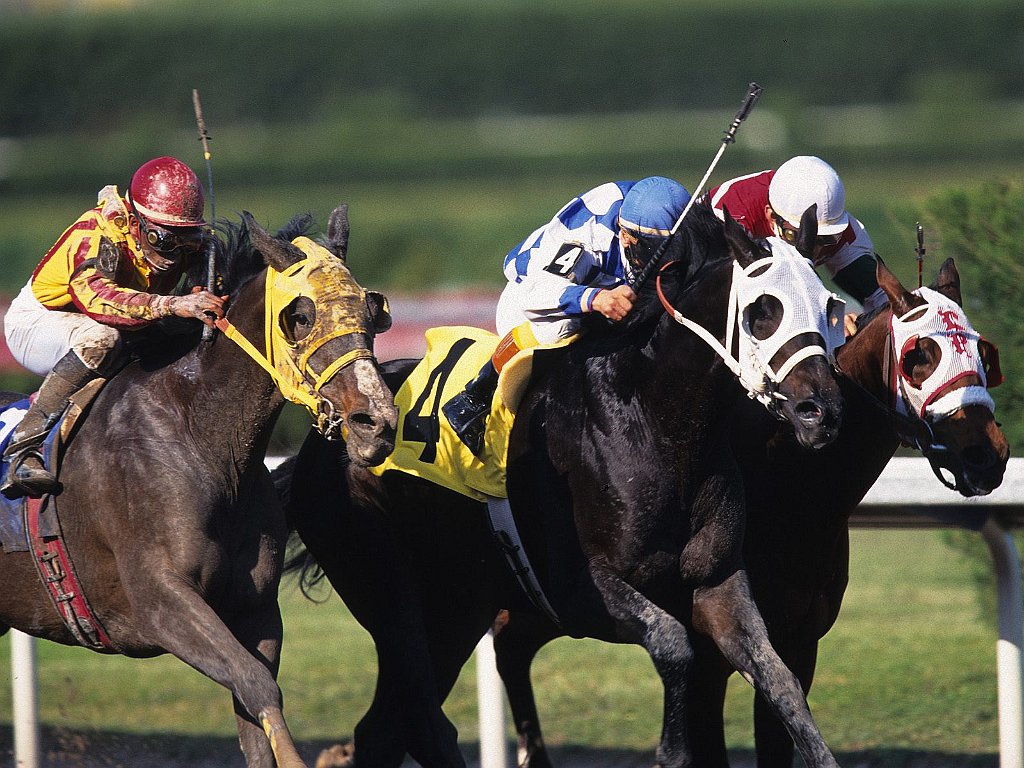 Making a Break, Gulfstream Park, Florida